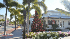 Create a Holiday Wonderland | Transform Your Front Yard This Season