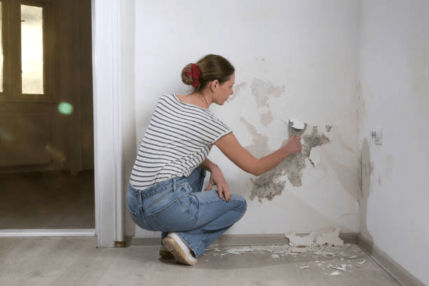 Home Repairs