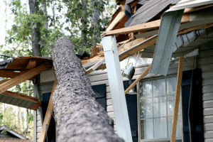 Storm Damage Repair | Essential Steps to Protect Your Home