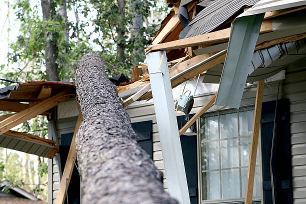 Storm Damage Repair | Essential Steps to Protect Your Home