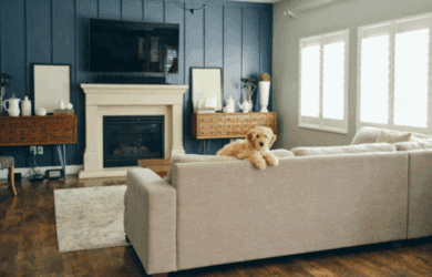 Family Room Design Tips