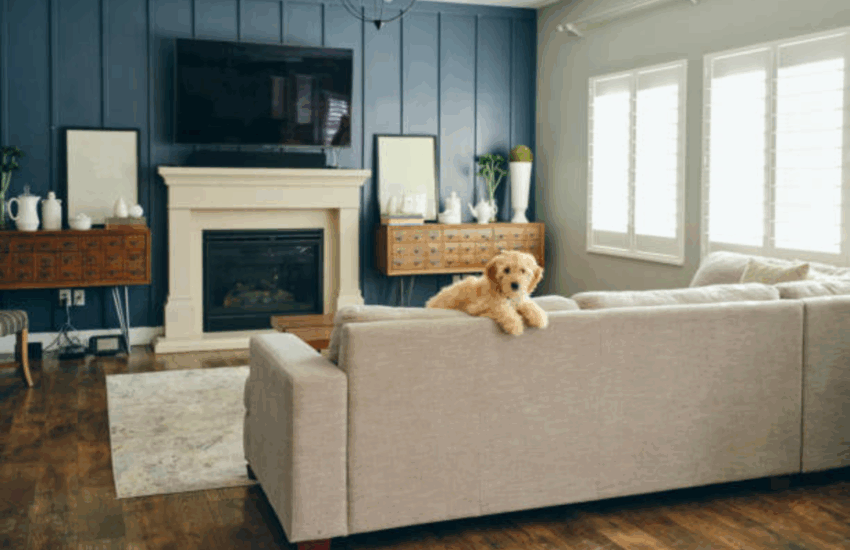 Family Room Design Tips