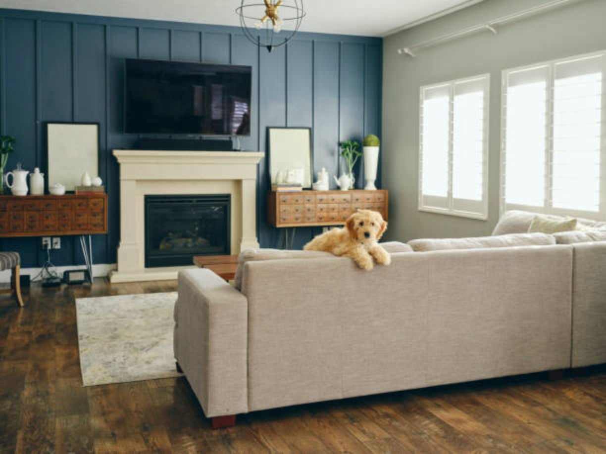 Family Room Design Tips